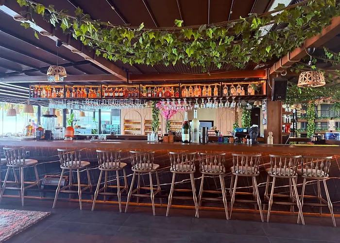 Hotel Grand Alisa 3*